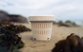 Nereid Bio