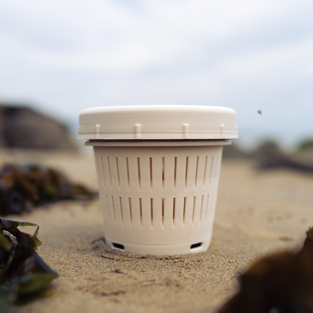 Nereid Bio